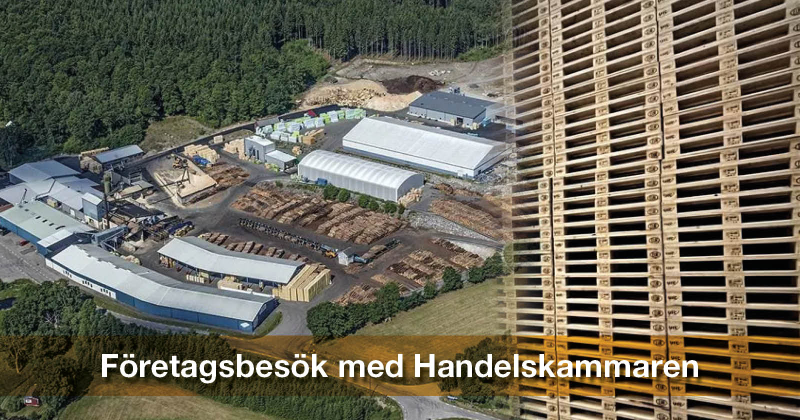 Bild på Åsljunga pallens anläggning