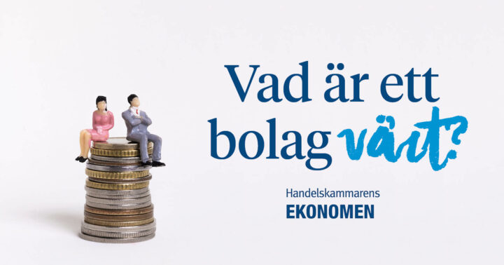 I bilden finns det en text där det står "Vad är ett bolag värt?". Under denna är det en logga där det står "Handelskammarens EKONOMEN". Detta är ett nätverk hos Handelskammaren för Ekonomer. Till vänster om texten är det en bild på en pengahög. Uppe på högen sitter det en man och en kvinna. Mannen bär en kostym och har armarna i kors. Kvinnan har en rosa klänning.
