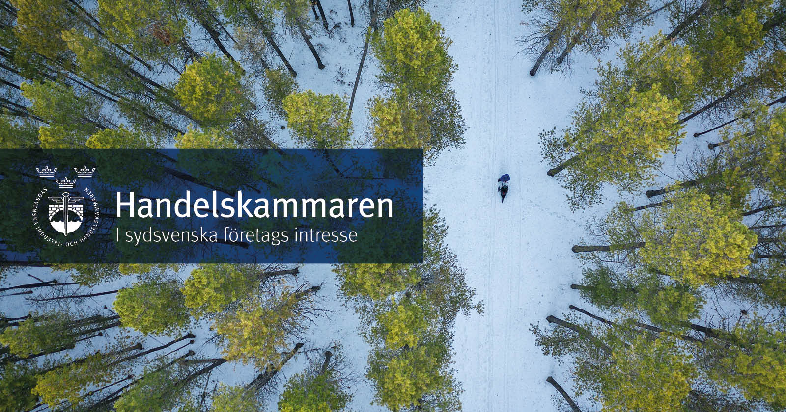 Bilden visar en skog från ett fågelsperspektiv. I skogen kan man se två personer. Till vänster i bilden finns en blå box med Handelskammarens logga