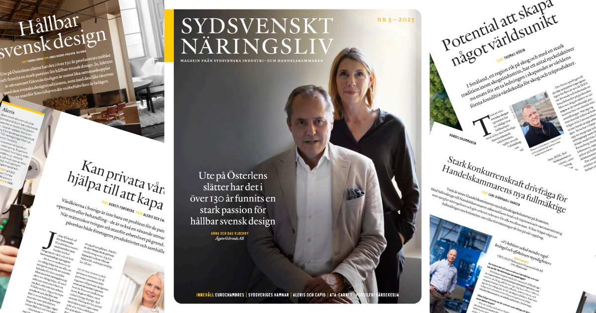 Kollage av försättsblad och artiklar från Sydsvenskt Näringsliv #3