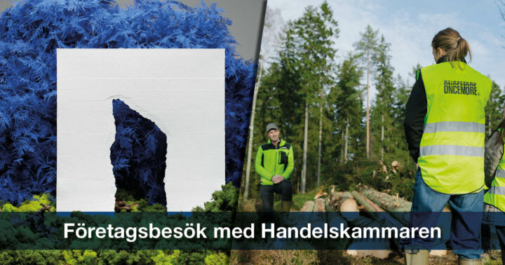 Bild på människa i skog och illustration av oncemore@