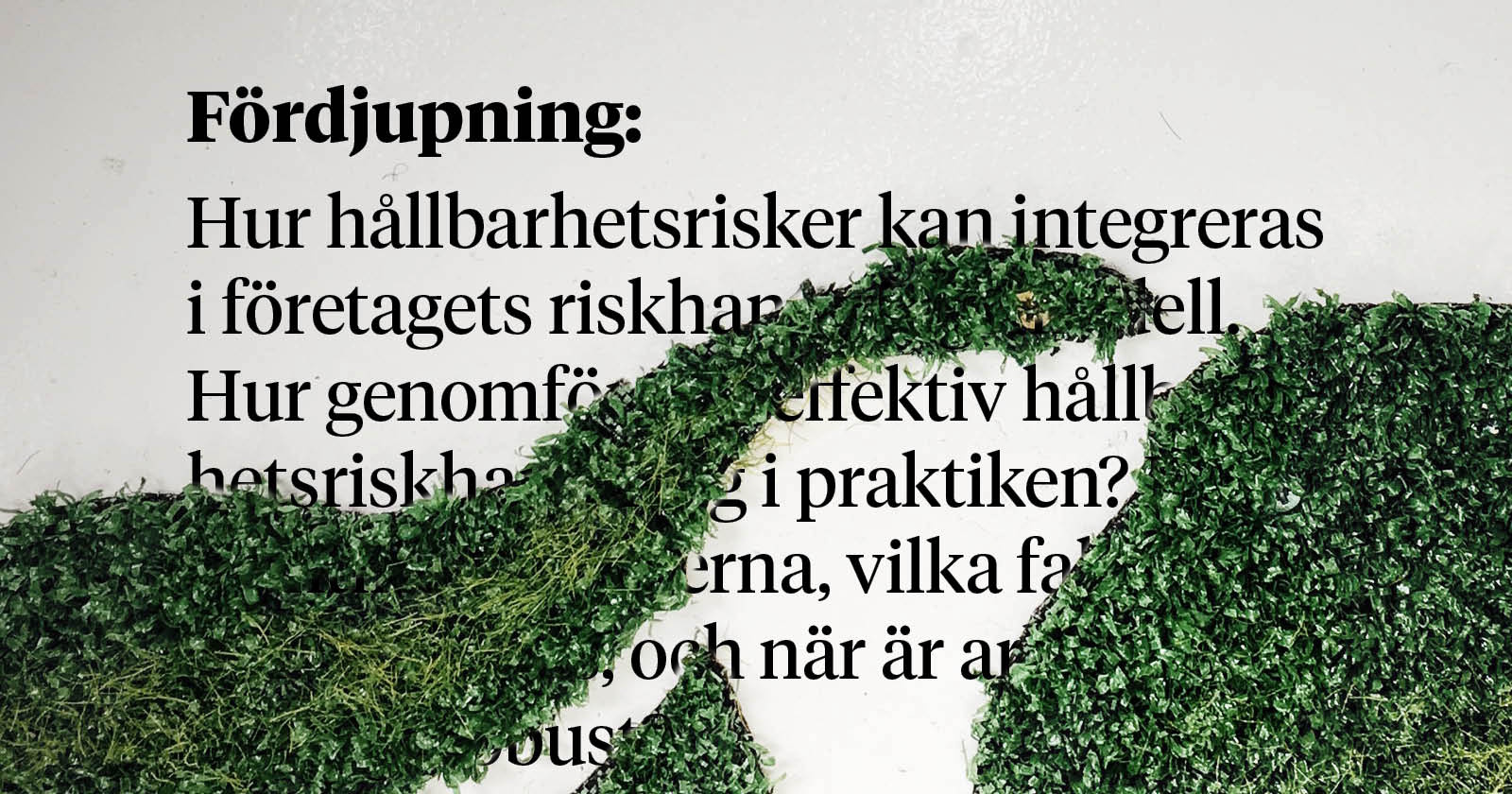 En bild med grön layout och texten hållbarhetsrisk