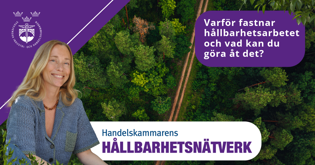 Bild på föreläsaren med en skog och väg som bakgrund