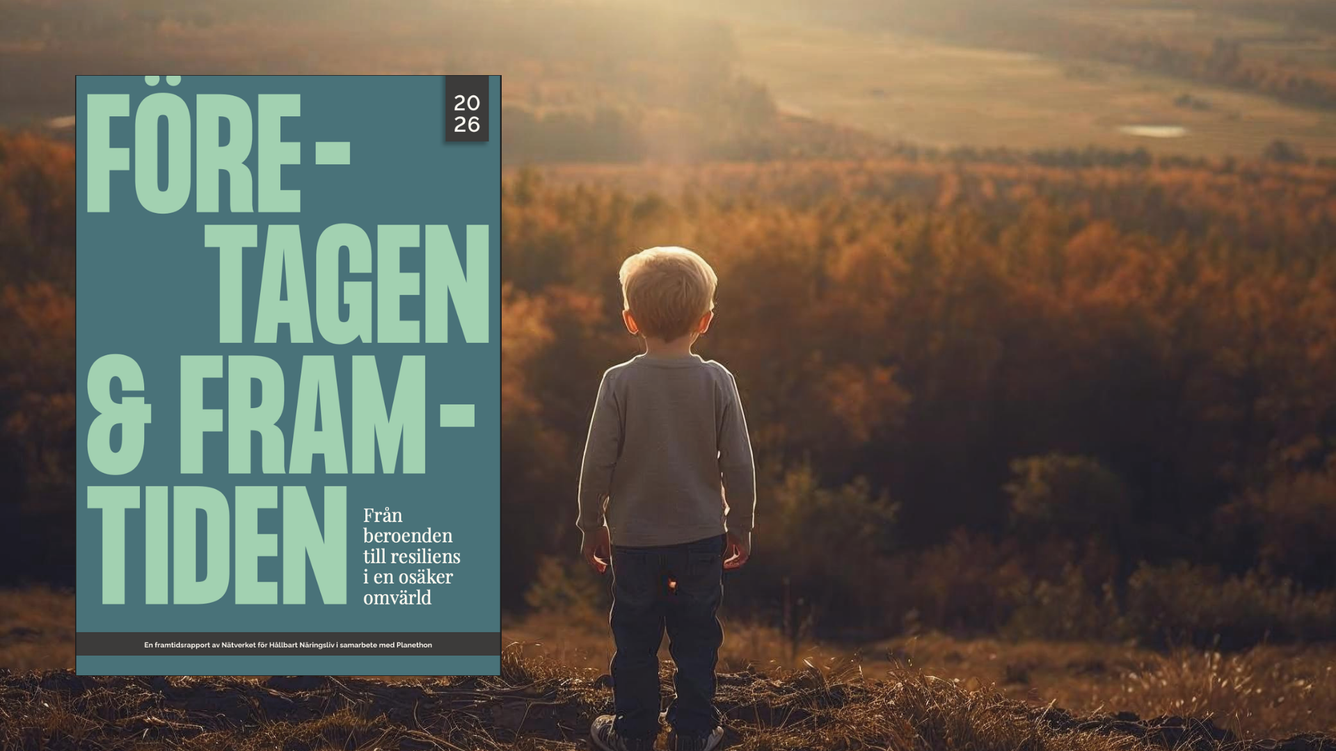 En bild på rapporten "Företagen & Framtiden" samt en pojke som tittar på solnedgången.