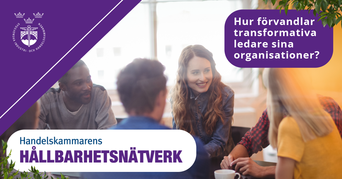 fotografi av ledare som sitter i grupp